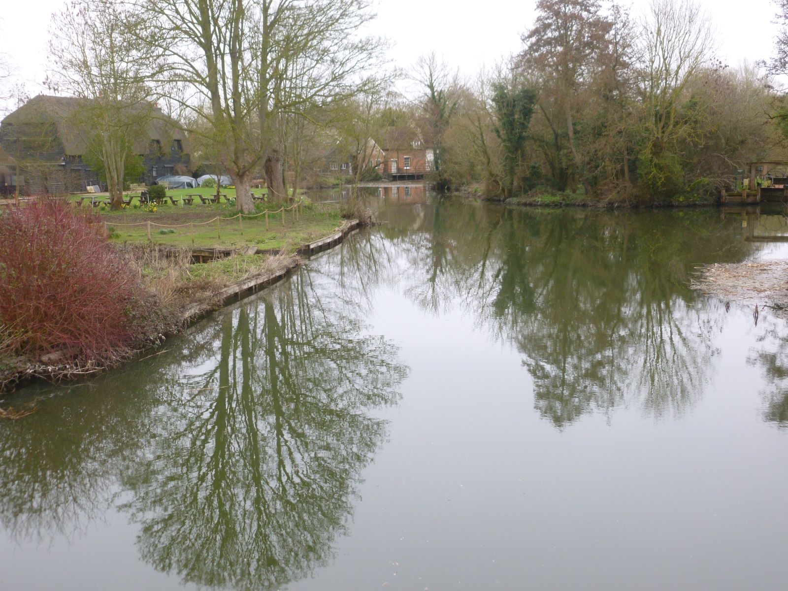 Reflection 8
